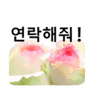 暮らしに花を♪バラ [韓国語]（個別スタンプ：30）