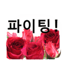 暮らしに花を♪バラ [韓国語]（個別スタンプ：31）