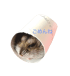 我が家のはむちゃんず（個別スタンプ：4）