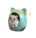 我が家のはむちゃんず（個別スタンプ：12）