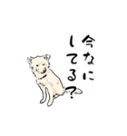オレからあなたへ（個別スタンプ：14）
