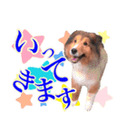 篠澤家（個別スタンプ：8）
