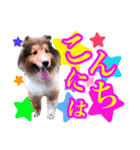 篠澤家（個別スタンプ：18）