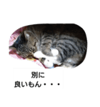 猫屋敷 わさりりあん～～②（個別スタンプ：15）
