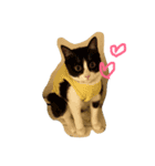 ばななちゃんむーとはち（個別スタンプ：4）