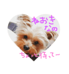ぼくは人間②（個別スタンプ：3）