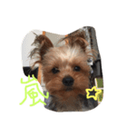 ぼくは人間②（個別スタンプ：6）