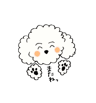 ビションフリーゼの男の子♡（個別スタンプ：2）