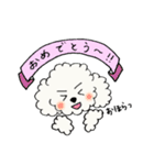 ビションフリーゼの男の子♡（個別スタンプ：15）