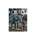 ダンスおじさんの優雅な日々（個別スタンプ：38）