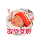 そうしくんスタンプ（個別スタンプ：7）