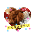 トイプーうめちゃんの日常挨拶（個別スタンプ：2）