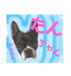 新山家三姉妹❤️（個別スタンプ：4）