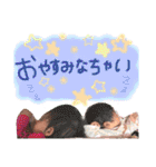 新山家三姉妹❤️（個別スタンプ：24）