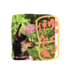 マロンスタンプ第2弾☆（個別スタンプ：6）