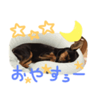 マロンスタンプ第2弾☆（個別スタンプ：7）