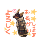 マロンスタンプ第2弾☆（個別スタンプ：9）