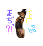 マロンスタンプ第2弾☆（個別スタンプ：14）