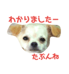 なかよしまりがろ2（個別スタンプ：1）