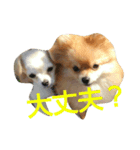 なかよしまりがろ2（個別スタンプ：2）