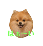 なかよしまりがろ2（個別スタンプ：3）