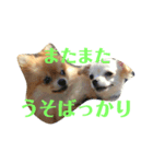 なかよしまりがろ2（個別スタンプ：4）
