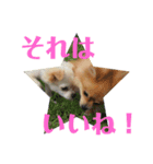 なかよしまりがろ2（個別スタンプ：5）