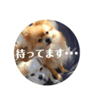 なかよしまりがろ2（個別スタンプ：6）