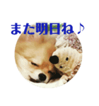 なかよしまりがろ2（個別スタンプ：7）