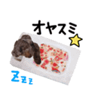 S' Nene's stamp（個別スタンプ：2）