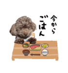 S' Nene's stamp（個別スタンプ：24）