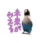 ボタンインコのボタンちゃん（個別スタンプ：10）