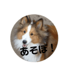 チェルちゃんと愉快な仲間達（個別スタンプ：10）