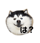 チェルちゃんと愉快な仲間達（個別スタンプ：12）
