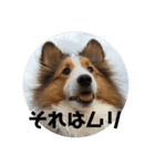 チェルちゃんと愉快な仲間達（個別スタンプ：14）