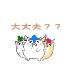 とけねこ スタンプ（個別スタンプ：8）