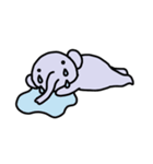 怠惰な象のコダ（個別スタンプ：5）