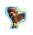 ツンデレモコちゃんの日常〜日常使える編〜（個別スタンプ：12）