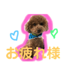 ツンデレモコちゃんの日常〜日常使える編〜（個別スタンプ：19）