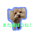 ツンデレモコちゃんの日常〜日常使える編〜（個別スタンプ：20）