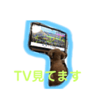 ツンデレモコちゃんの日常〜日常使える編〜（個別スタンプ：24）