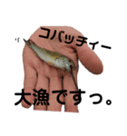 バスフィッシング。（個別スタンプ：4）
