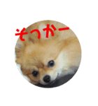 なかよしまりがろ（個別スタンプ：1）