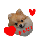なかよしまりがろ（個別スタンプ：2）