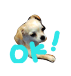 なかよしまりがろ（個別スタンプ：3）