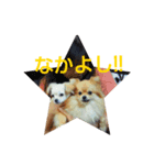 なかよしまりがろ（個別スタンプ：5）
