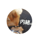 なかよしまりがろ（個別スタンプ：6）