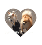 なかよしまりがろ（個別スタンプ：7）
