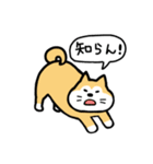 ちゃこまる（個別スタンプ：13）