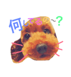 アンジーの毎日（個別スタンプ：2）
